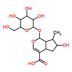 Loganic acid