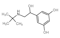 5-(1-Hydroxy-2-tert-butylamino-ethyl)benzene-1,3-diol Cas:23031-25-6 第1张