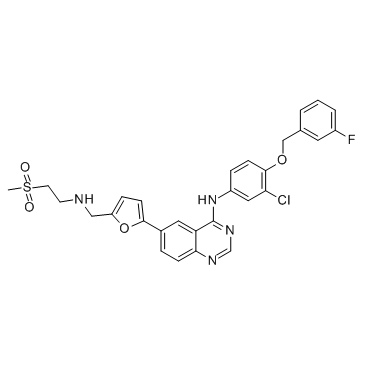 Lapatinib CAS:231277-92-2 manufacturer price 第1张