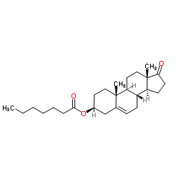 Prasterone enanthate