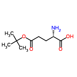 L-Glutamic Acid 5-tert-butyl Ester CAS:2419-56-9 manufacturer price 第1张