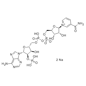 β-Nicotinamide Adenine Dinucleotide Phosphate Disodium Salt NADP+2NA Cas:24292-60-2 第1张