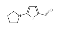 5-pyrrolidin-1-ylthiophene-2-carbaldehyde