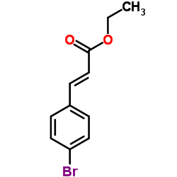 (E)-Ethyl 3-(4-bromophenyl)acrylate