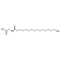 palmitoyl glycine CAS:2441-41-0 manufacturer price 第1张