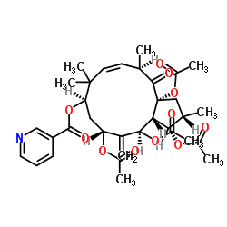 3,5,7,15-Tetraacetoxy-9-nicotinoyloxy-6(17),11-jatrophadien-14-one