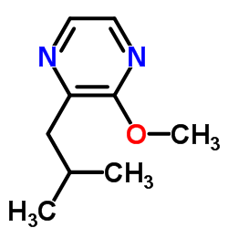 2-Isobutyl-3-methoxypyrazine Cas:24683-00-9 第1张