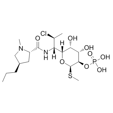 Clindamycin Phosphate Cas:24729-96-2 第1张