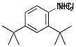 2,4-DI-TERT-BUTYLANILINE HYDROCHLORIDE