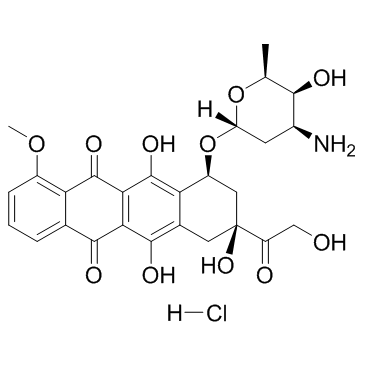doxorubicin hydrochloride Cas:25316-40-9 第1张