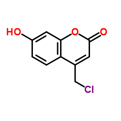 4-(Chloromethyl)-7-hydroxy-2H-chromen-2-one