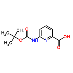 6-tert-butoxycarbonylamino-pyridine-2-carboxylic acid CAS:258497-21-1 第1张