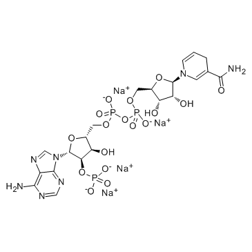 Beta-NADPH Tetrasodium Salt NADPH Cas:2646-71-1 第1张