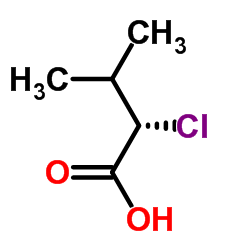 (2S)-2-Chloro-3-methylbutanoic acid