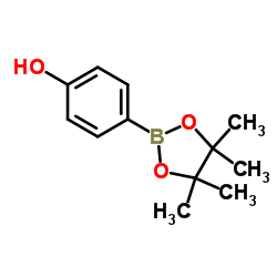 4-Hydroxyphenylboronic Acid Pinacol Ester CAS:269409-70-3 manufacturer price 第1张