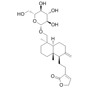 Neoandrographolide