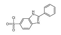 2-phenyl-3H-benzimidazole-5-sulfonyl chloride