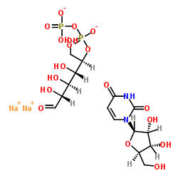 Uridine 5'-diphosphate Disodium Salt UDP-Na2 CAS:27821-45-0 manufacturer price 第1张