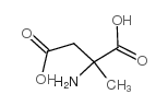 2-amino-2-methylsuccinic acid