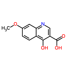 4-Hydroxy-7-methoxyquinoline-3-carboxylic acid