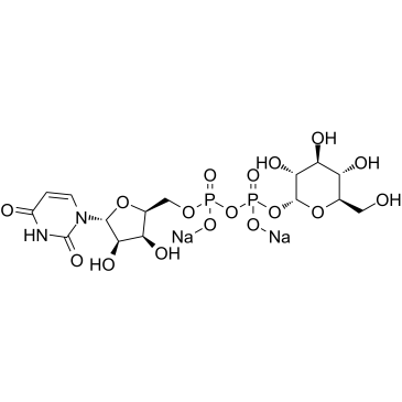 Uridine 5'-diphosphoglucose Disodium Salt UDP-G CAS:28053-08-9 manufacturer price 第1张