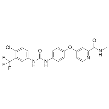 Sorafenib CAS:284461-73-0 manufacturer price 第1张