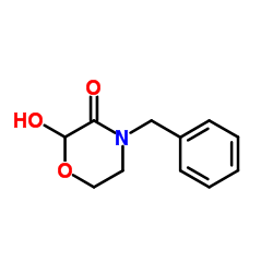 4-Benzyl-2-hydroxy-morpholin-3-one CAS:287930-73-8 manufacturer price 第1张