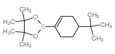 2-(4-tert-butylcyclohexen-1-yl)-4,4,5,5-tetramethyl-1,3,2-dioxaborolane