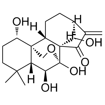 Oridonin CAS:28957-04-2 第1张