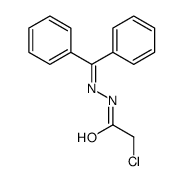 N-(benzhydrylideneamino)-2-chloroacetamide