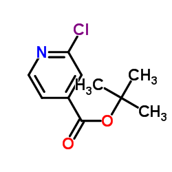 tert-Butyl 2-chloroisonicotinate