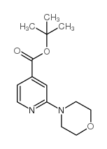 tert-butyl 2-morpholin-4-ylpyridine-4-carboxylate