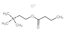 ブチリルコリンクロリド
