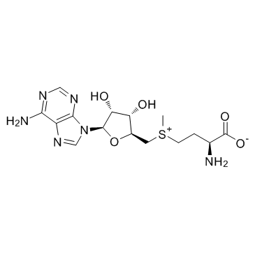 s-adenosyl-l-methionine CAS:29908-03-0 manufacturer price 第1张