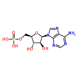 Vidarabine Monophosphate Cas:29984-33-6 第1张