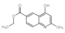 ethyl 2-methyl-4-oxo-1H-quinoline-6-carboxylate CAS:300590-94-7 第1张