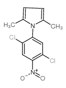 1-(2,5-dichloro-4-nitrophenyl)-2,5-dimethylpyrrole