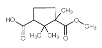 3-methoxycarbonyl-2,2,3-trimethylcyclopentane-1-carboxylic acid