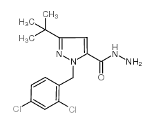 5-tert-butyl-2-[(2,4-dichlorophenyl)methyl]pyrazole-3-carbohydrazide