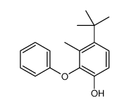 4-tert-butyl-3-methyl-2-phenoxyphenol