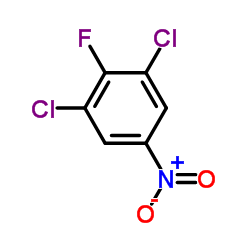 3,5-Dichloro-4-fluoronitrobenzene CAS:3107-19-5 manufacturer price 第1张