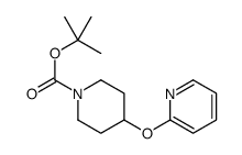 tert-butyl 4-pyridin-2-yloxypiperidine-1-carboxylate CAS:313490-35-6 第1张