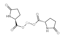 calcium pidolate