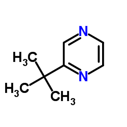 t-butylpyrazine