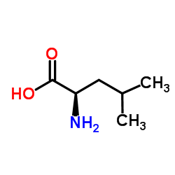 d-leucine CAS:328-38-1 manufacturer price 第1张