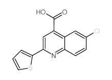 6-chloro-2-thiophen-2-ylquinoline-4-carboxylic acid