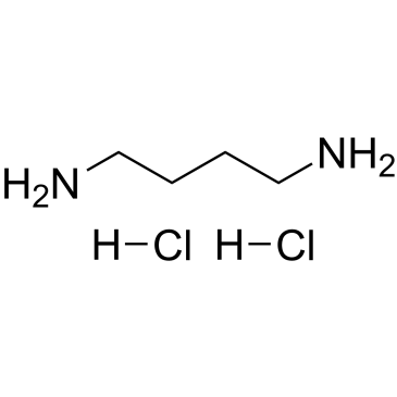 1,4-diaminobutane dihydrochloride Cas:333-93-7 第1张