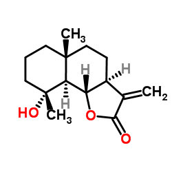 ethoxyamine hydrochloride CAS:3332-29-4 manufacturer price 第1张