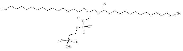 1,2-Dipentadecanoyl-sn-glycero-3-phosphocholine