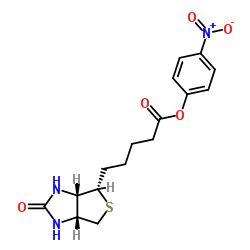 (+)-Biotin-ONP